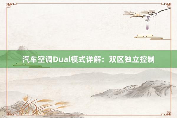 汽车空调Dual模式详解：双区独立控制